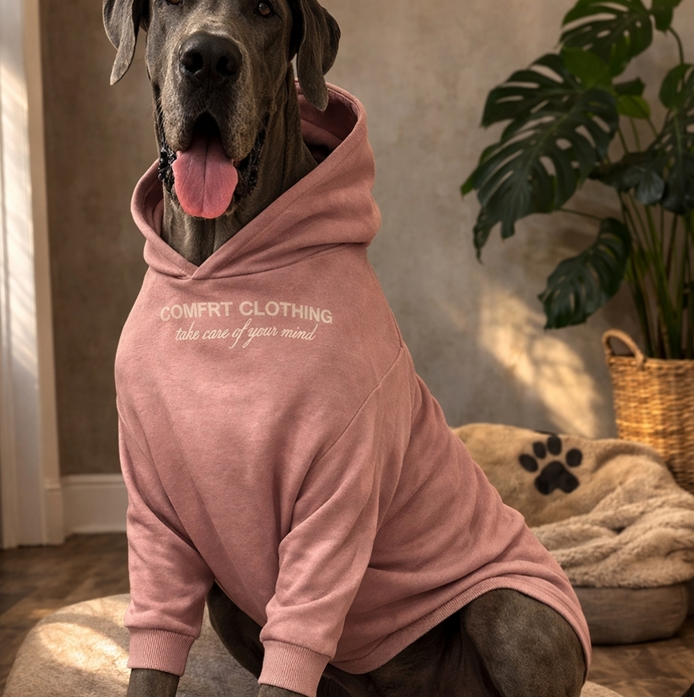 Comfrt Clothing 7XL Dusty Rose Hoodie – “YOU MATTER” Graphic – Oversized Cozy